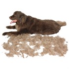 Как выбрать FURminator для собаки