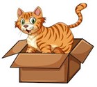 Дома с кошкой: кто кого? Учимся общаться с питомцем)